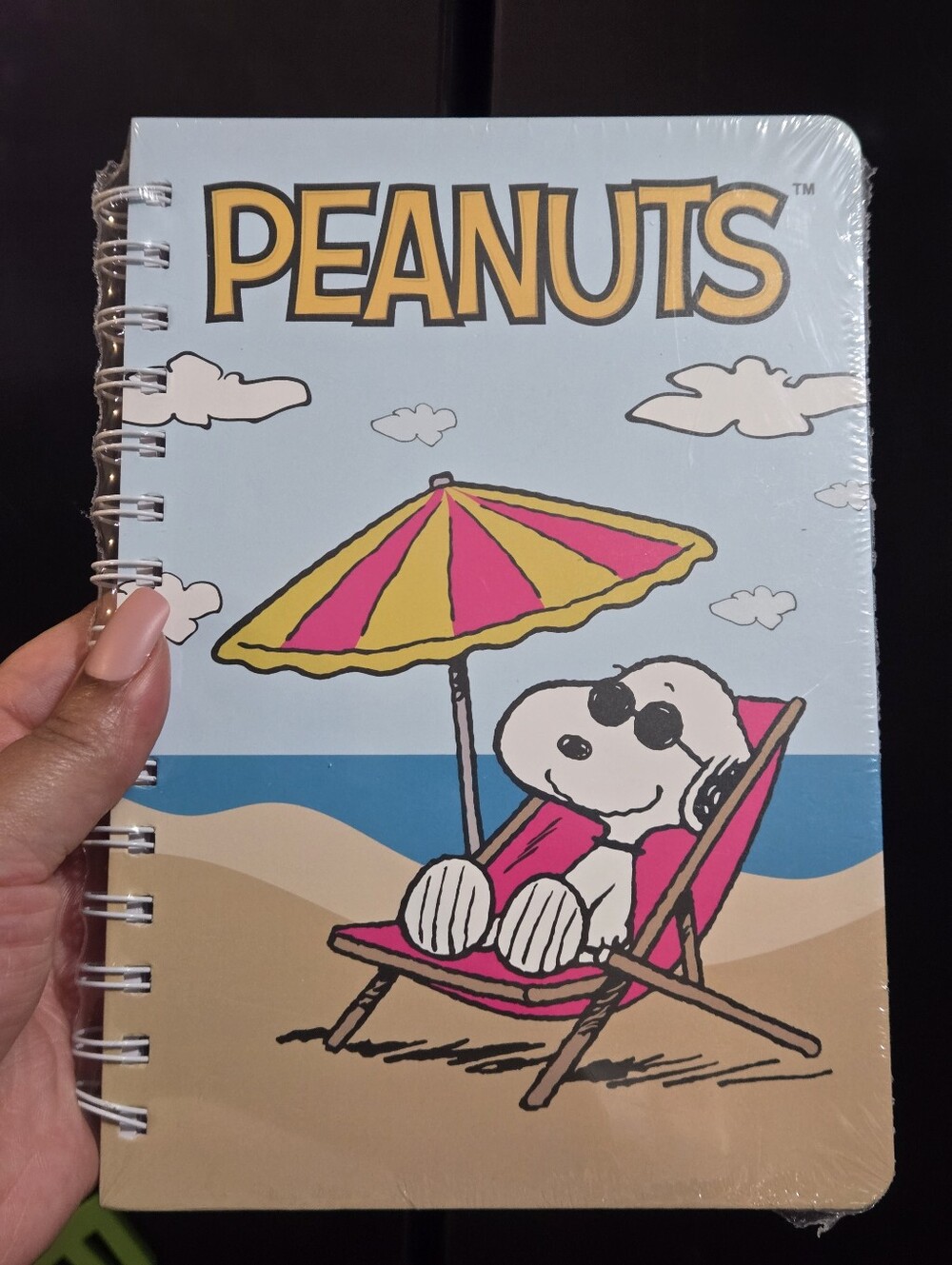 Peanuts Snoopy Beach Spiral Notebook - Light Blue & Pink